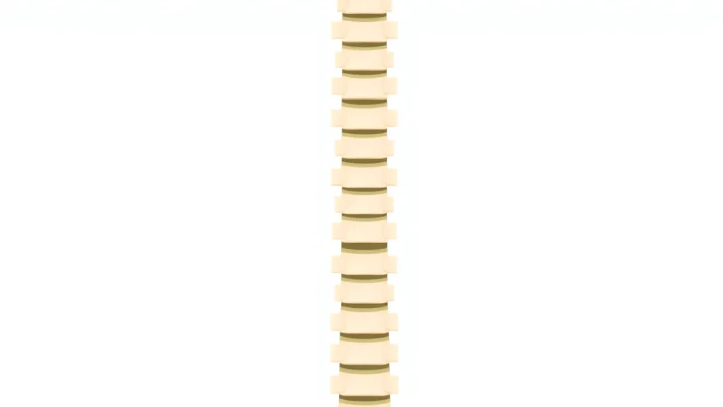Pilloud Chiropractic