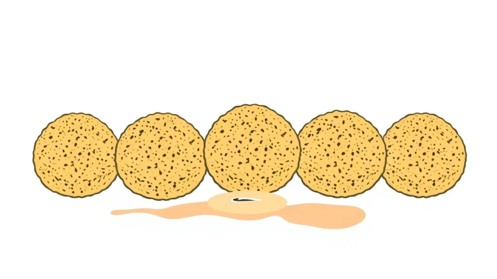 King Falafel