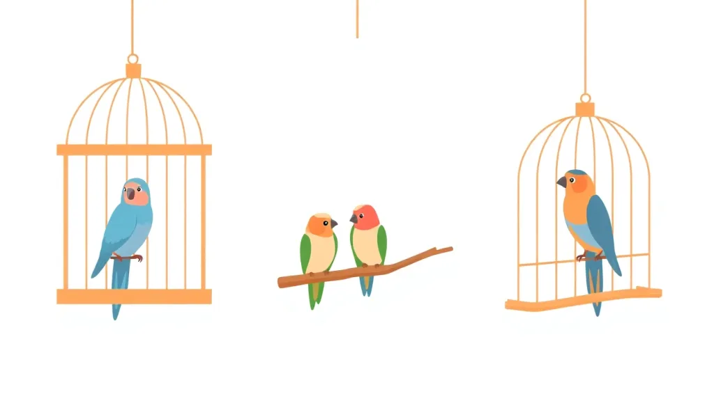 Discount Birds