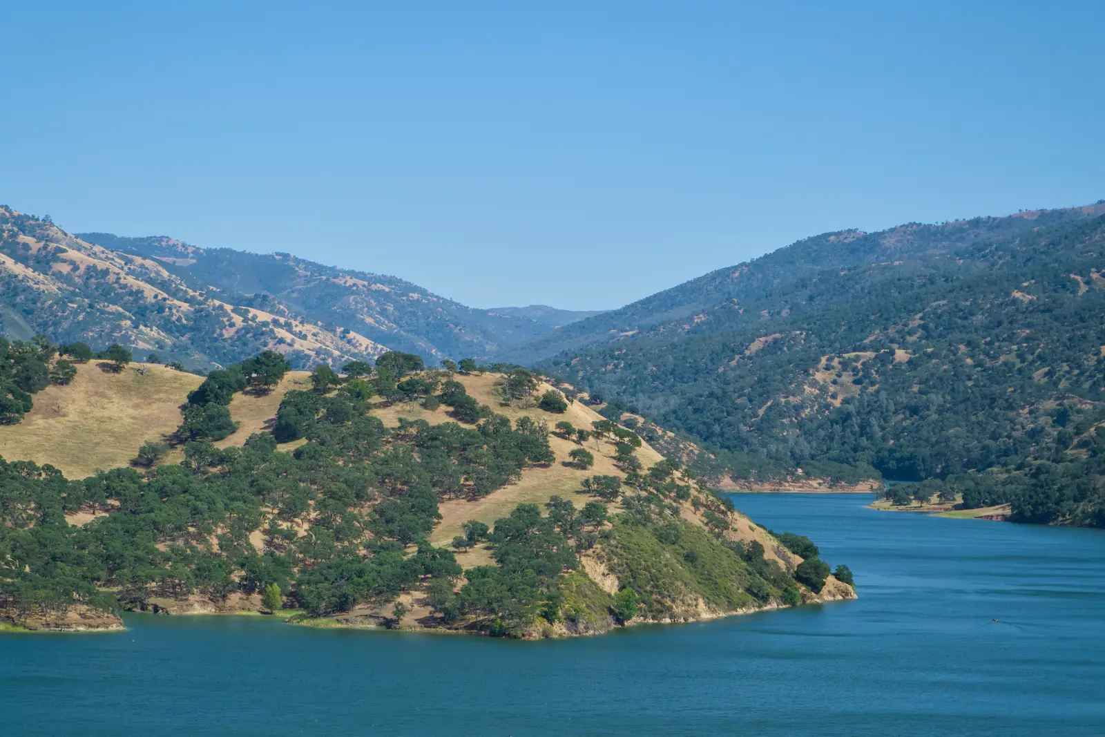 Wednesday of the Fourth Week of Lent