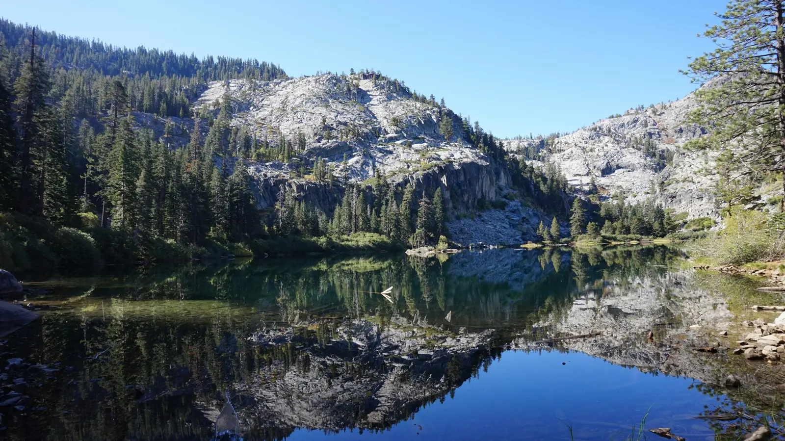 Cal Arts Farmers Market