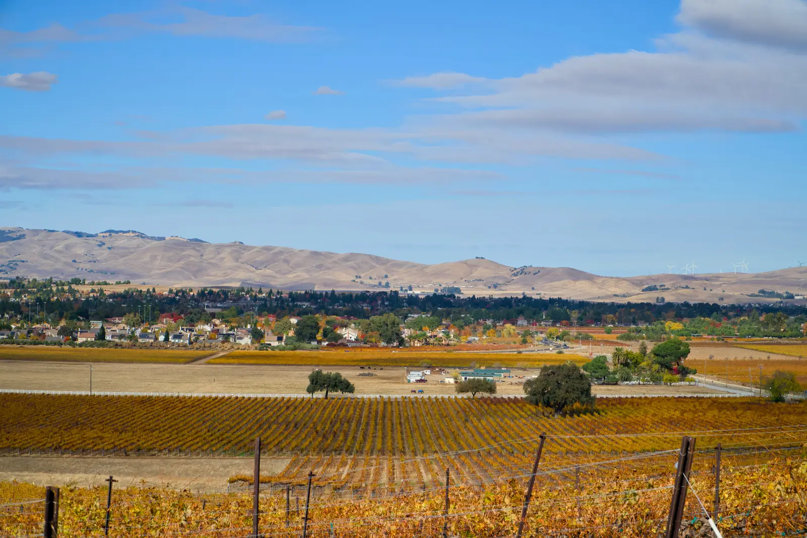 Santa Ynez