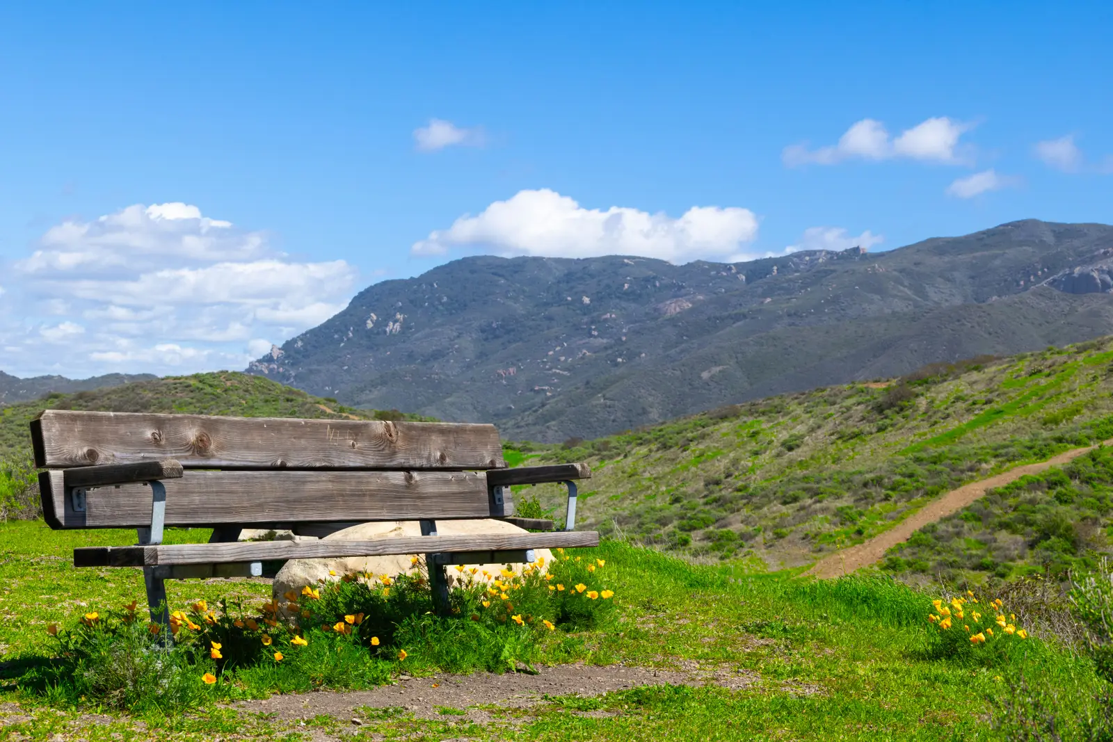 A Course in Miracles