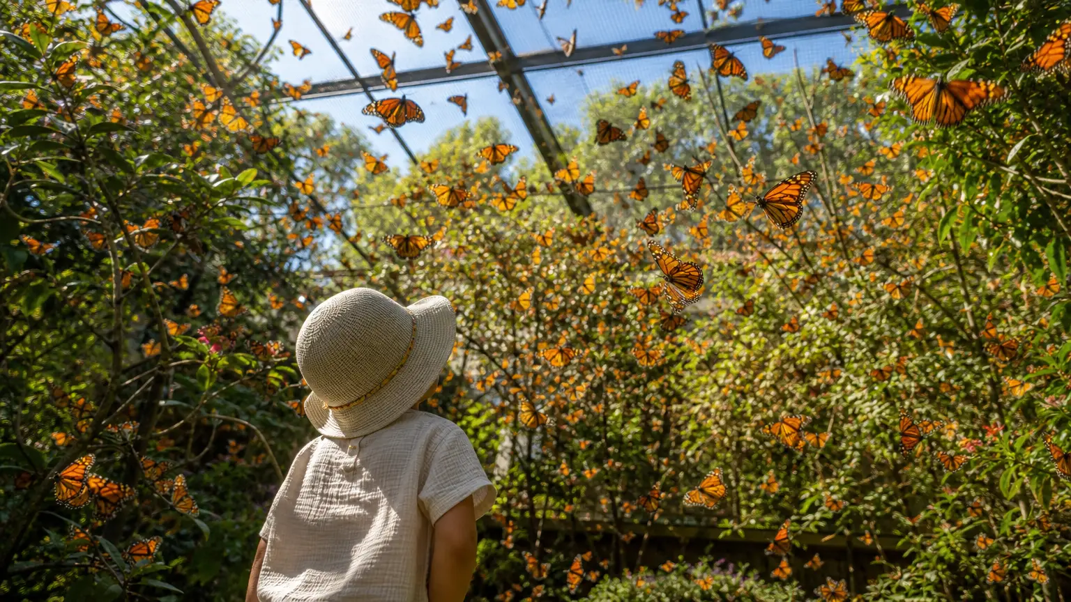 Santa Barbara Museum of Natural History Welcomes 1,000 Fluttering Friends