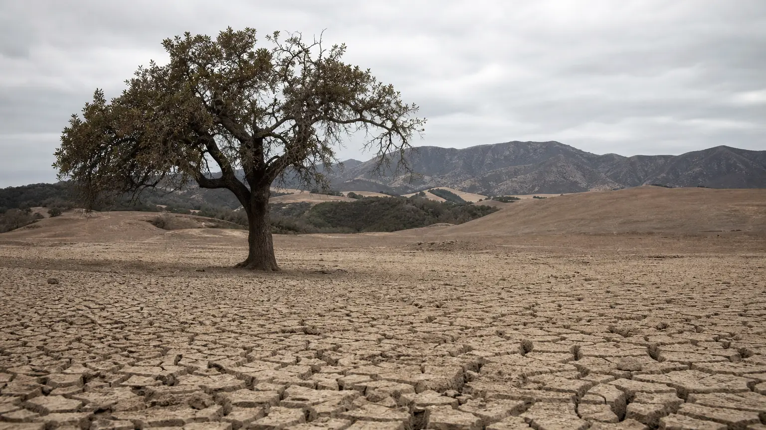 Will We Destroy the Planet That Sustains Us?